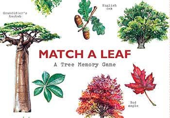 Match a Leaf Matching Game