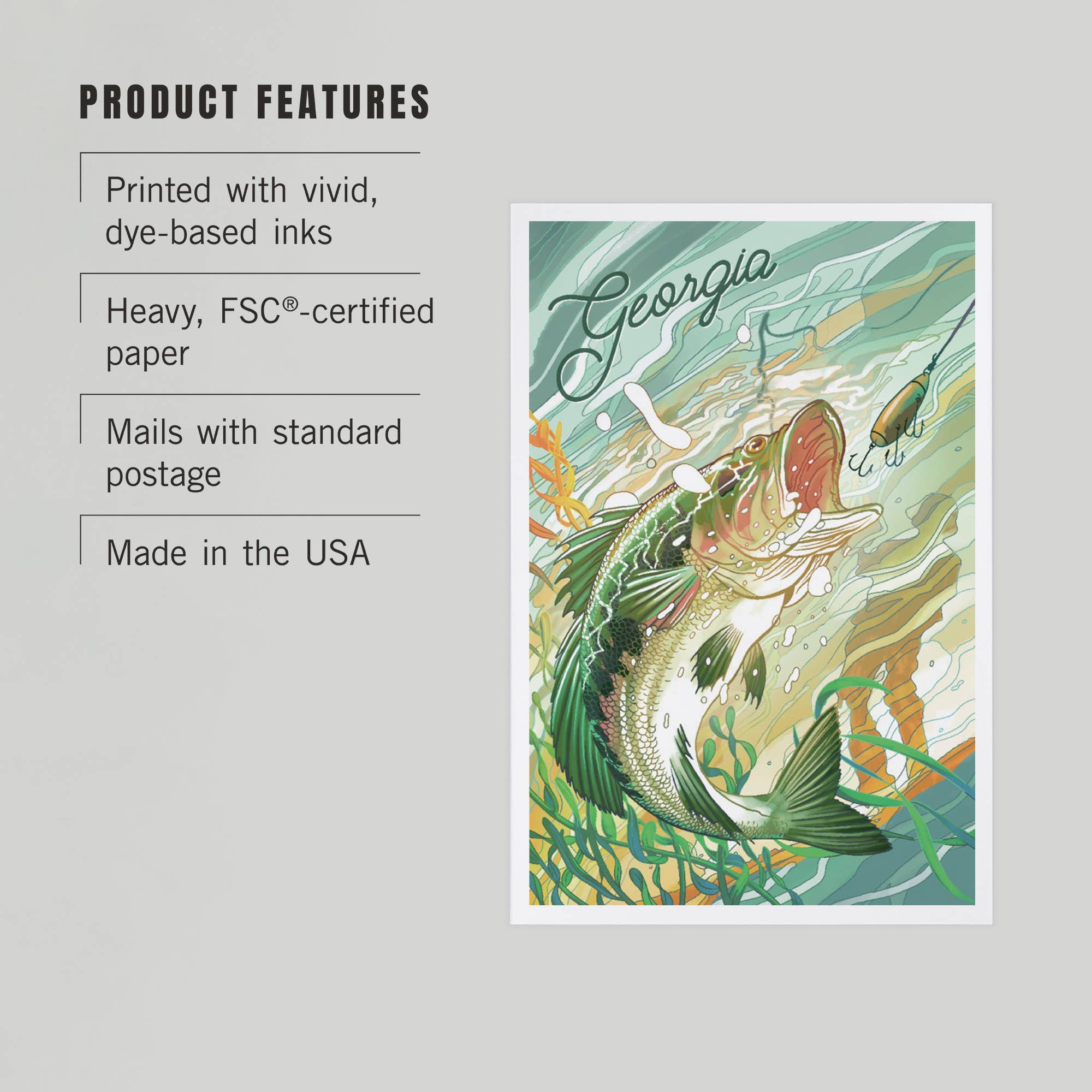 PREMIUM POSTCARDS Georgia, Fish All Day, Bass