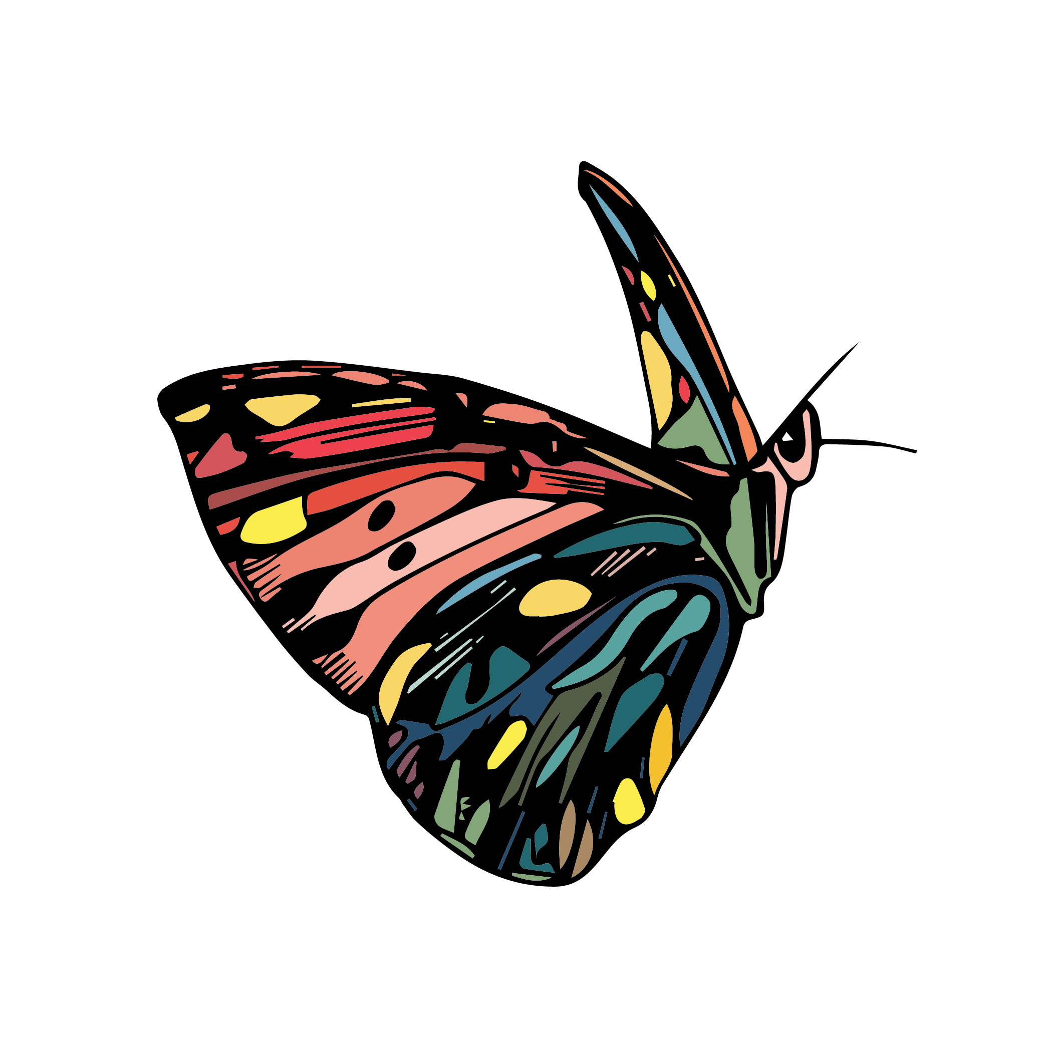 Be Set Free, Selah Rose LLC
