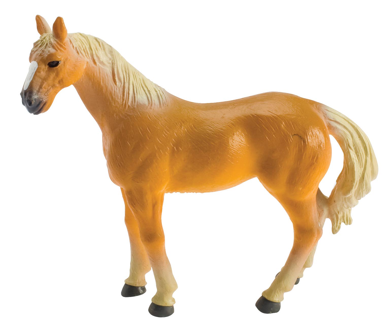Farm Fresh Country Horses