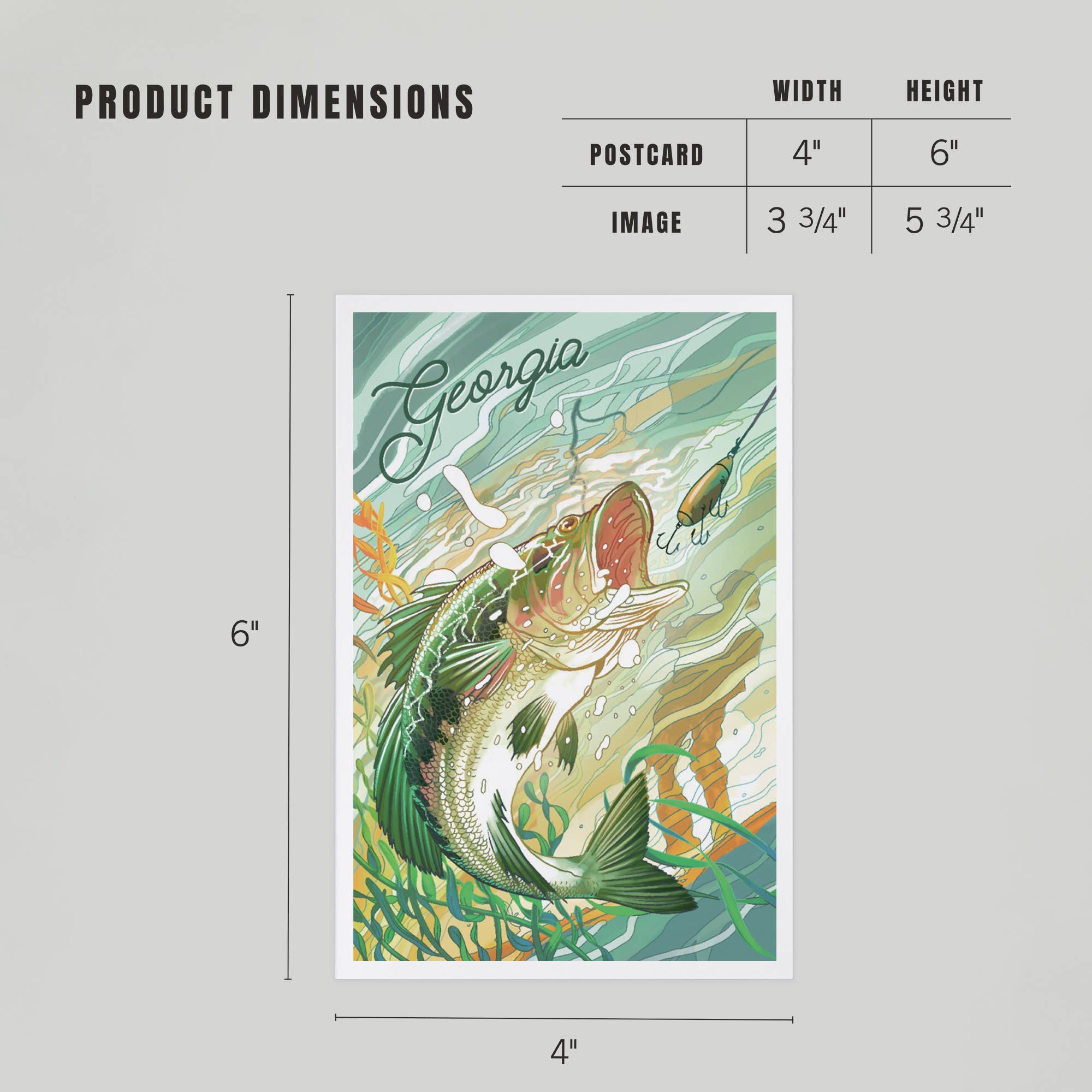 PREMIUM POSTCARDS Georgia, Fish All Day, Bass